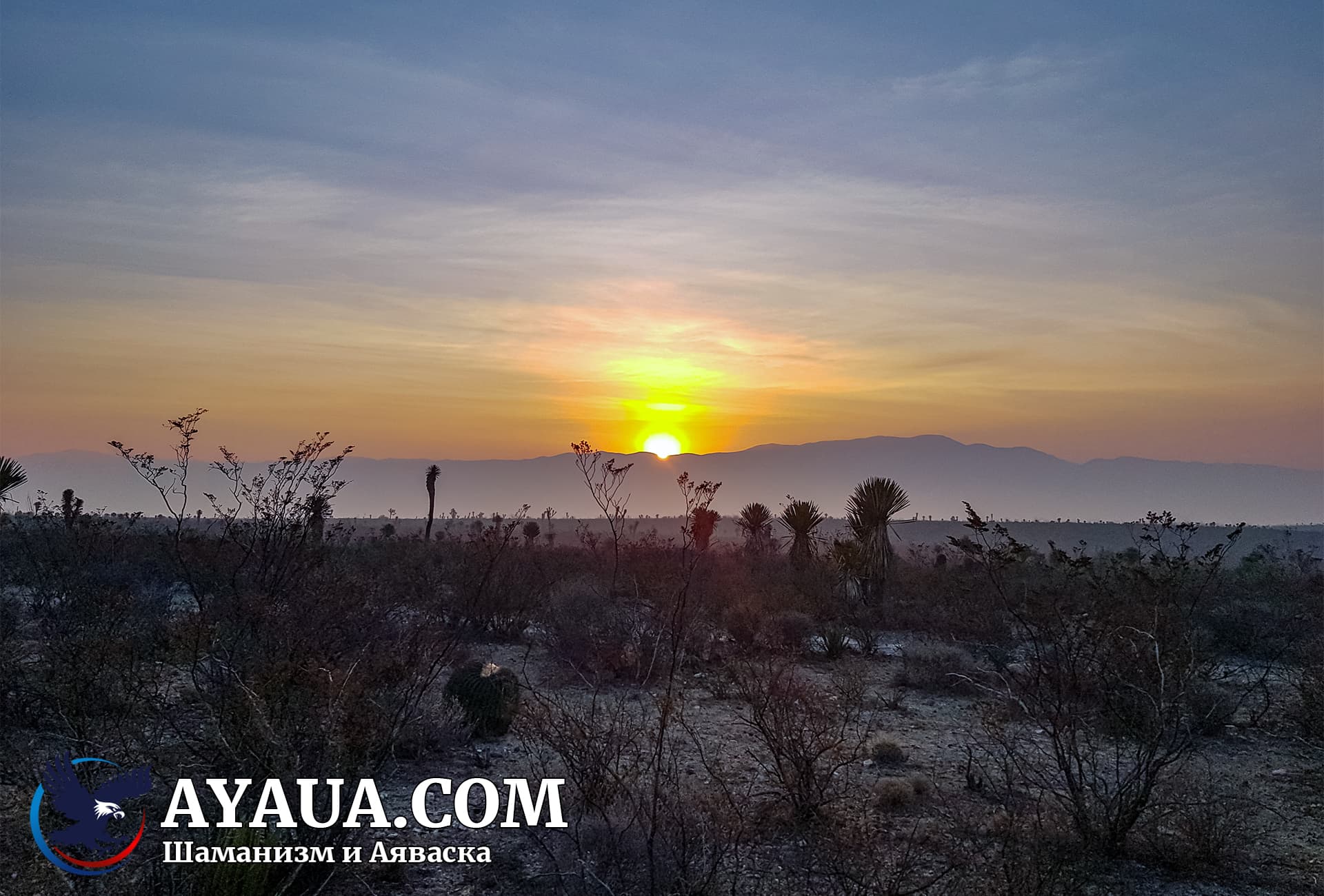 Рассвет в пустыне Вирикута в Мексике после церемонии с Пейотом